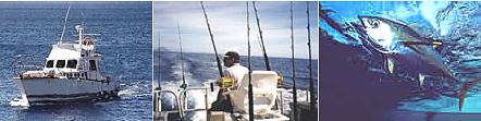 Big game fishing Croatia, Adriatic