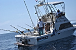 Big game fishing Croatia, Adriatic