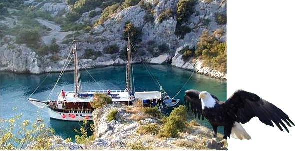 Motor sailer "Eagle"