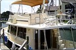 Mainship Trawler 40 eksterijer 1