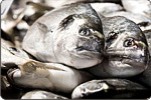 pesce fresco