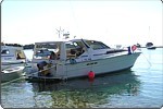 Sea Ray Yacht