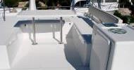 Flybridge - Lagoon Power 44