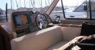 Motorboot Adriana 36