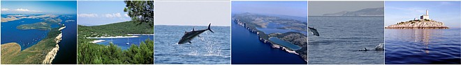 Big Game fishing - Sport fishing Croatia - fishing area