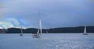 boats-under-sails-regatta